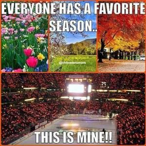 Meet your Posher, Corey